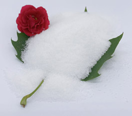 Katera vrsta poliakrilamida je učinkovitej&scaron;a za či&scaron;čenje odpadnih voda za pranje avtomobilov?