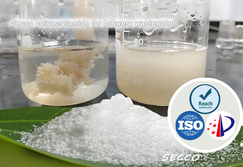 Izbor in učinkovitost poliakrilamida (PAM) v či&scaron;čenju pivovarne odpadne vode